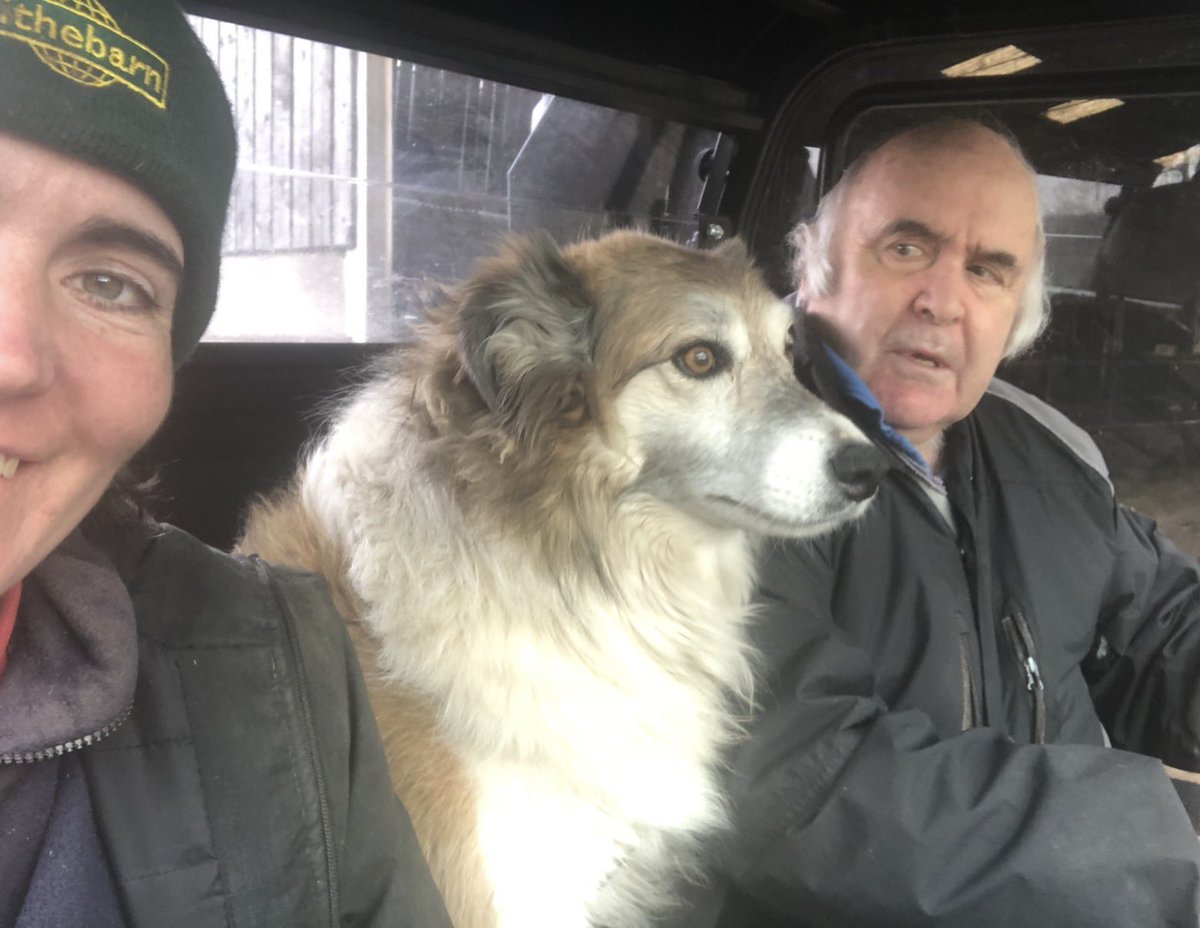 Abi Reader tweet media