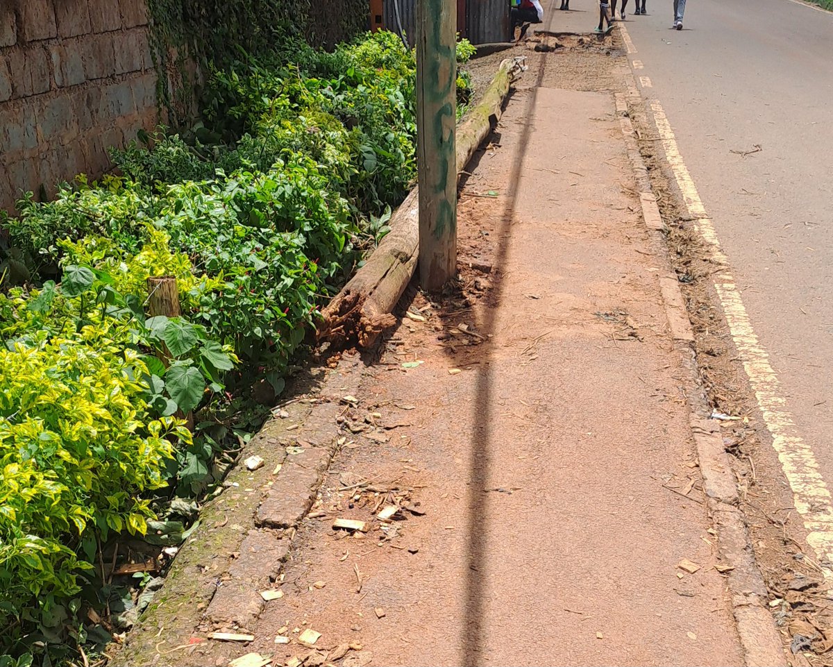 Steve O. tweet media