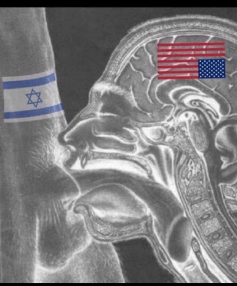 CryptoDeka's tweet photo. @RedBrickStros @Twolvesfan911 @electionsjoe Couldn’t quite hear you with the massive isræli cock in your mouth, explain why you want American soldiers dead for isræl again? https://t.co/uX4j18mBdY