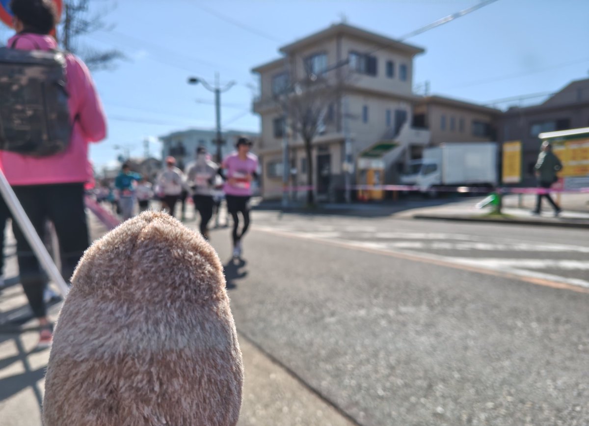 桜田澪（Mio Sakurada）@ころころ時々ぽてぽて tweet media