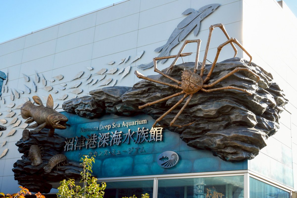 beginner_kBOT's tweet photo. 日本で唯一の深海に特化した「沼津港深海水族館」も楽しかったです😙 https://t.co/q2ctyMhHTF
