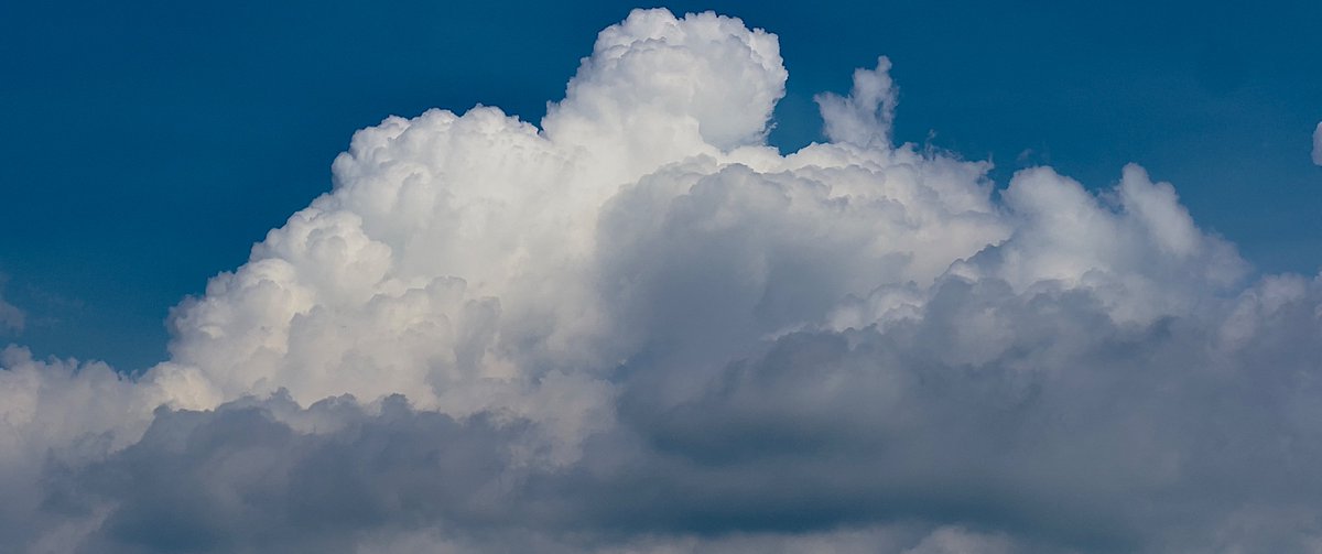 ᴋʟäɴɢ tweet media