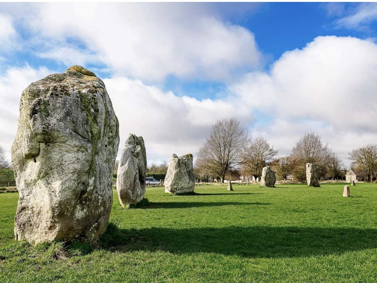 Book Lover tweet media