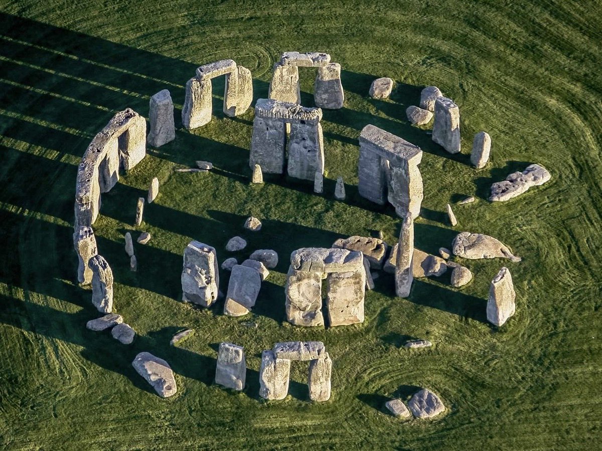 Book Lover tweet media