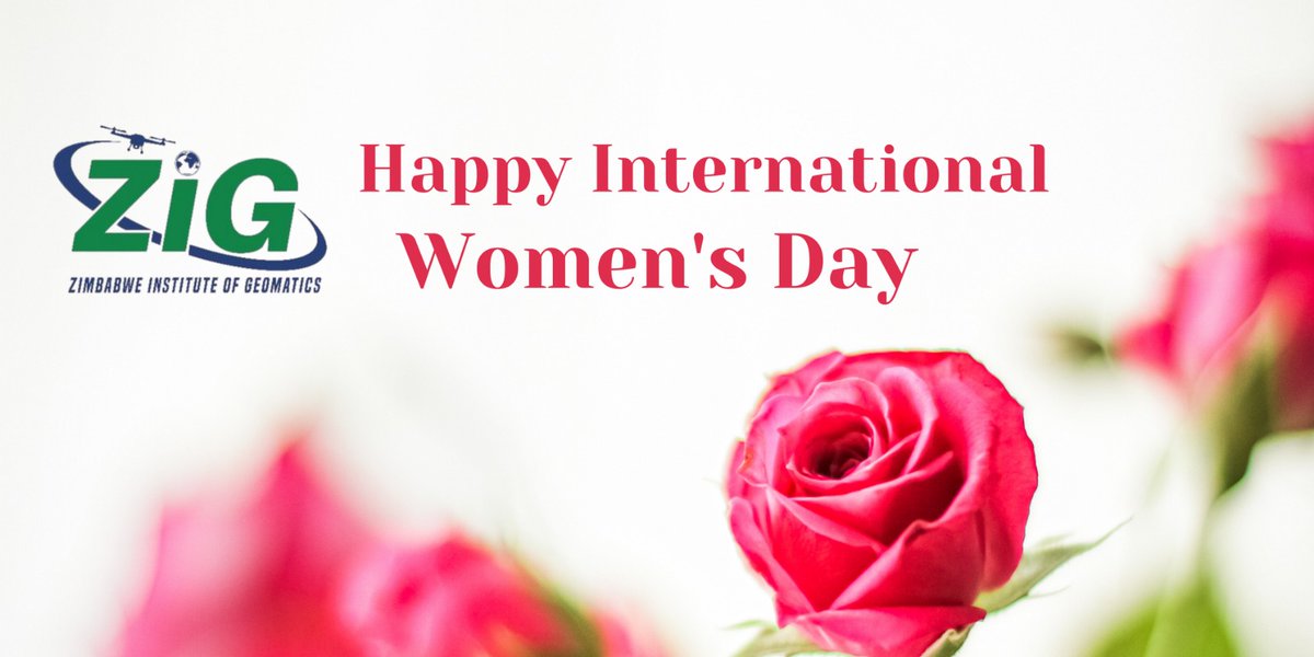 Zimbabwe Institute of Geomatics (@zimgeoins) on Twitter photo 