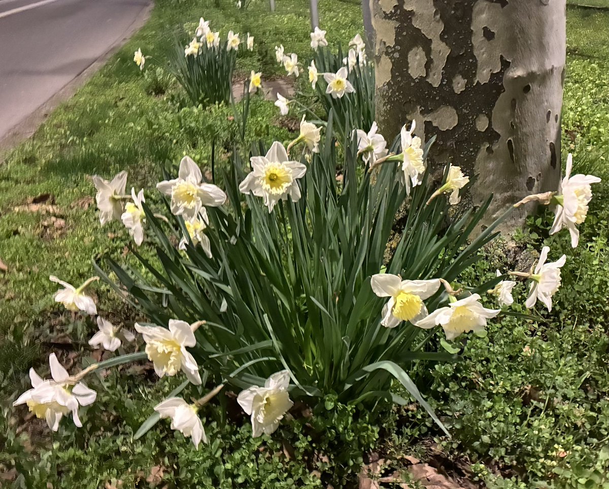 Claudia Tödtmann tweet media