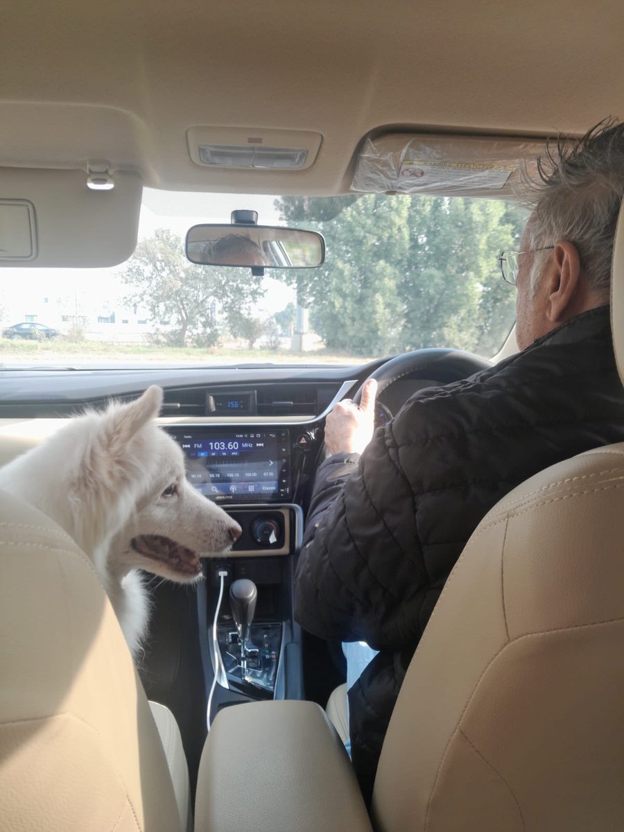 Pervaiz Rashid tweet media