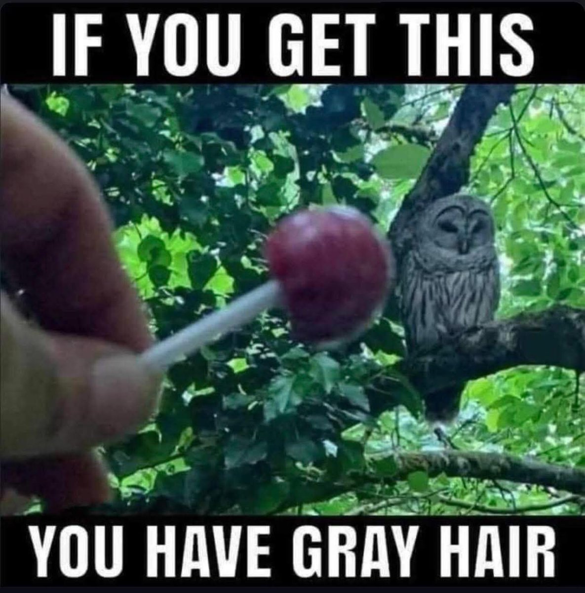 Eric Alper 🎧 tweet media