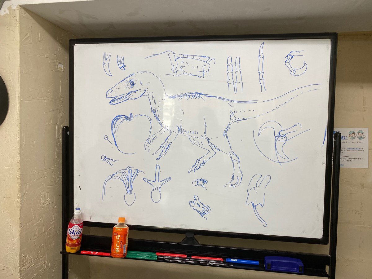 theropod tweet media