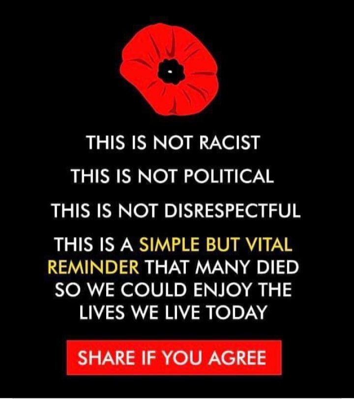 Australian Patriot. tweet media