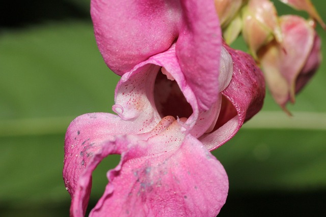 Jennifer Villanueva tweet media