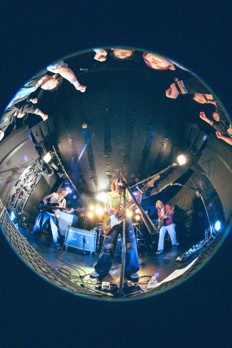 シベリアンハスキー tweet media