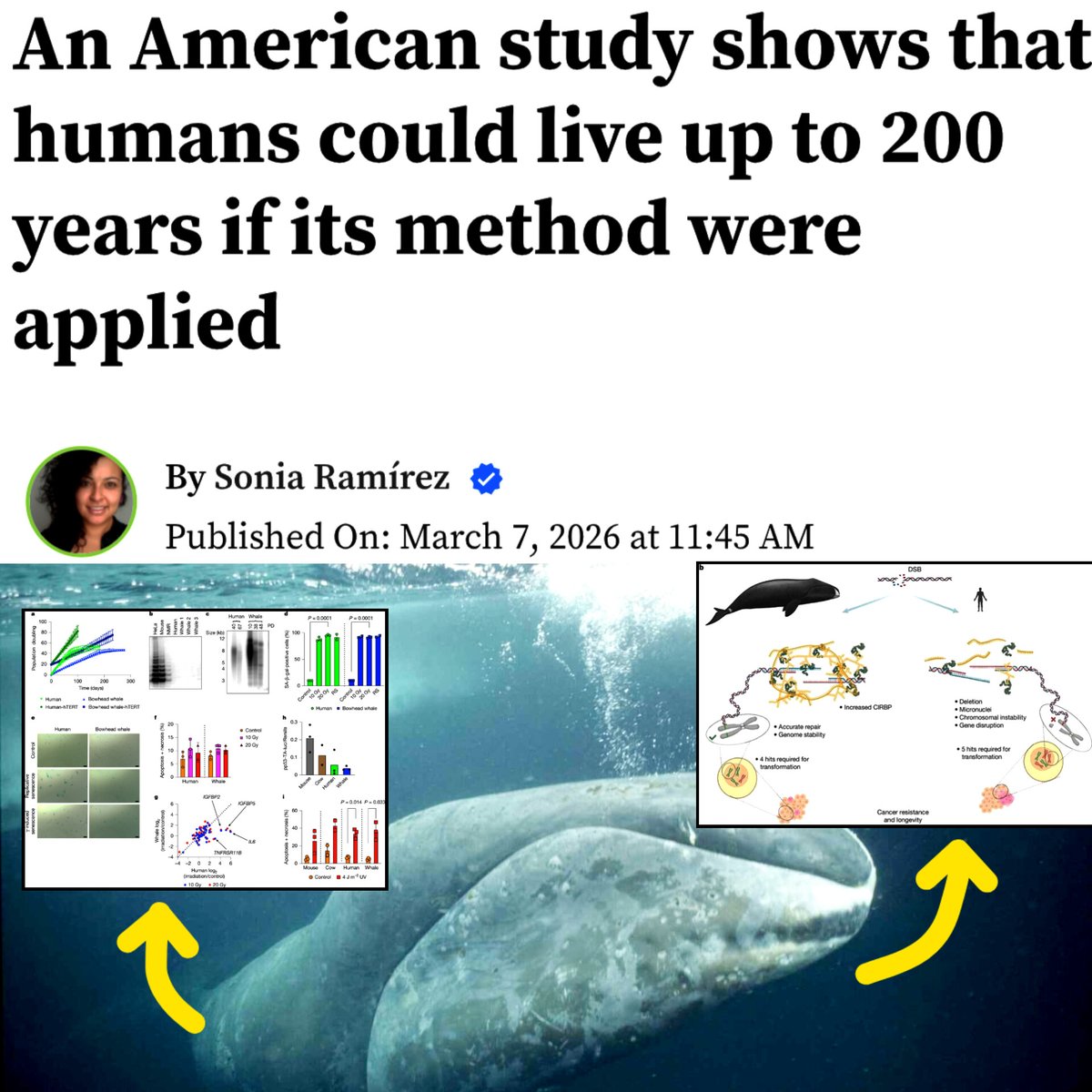 SciTech Era tweet media
