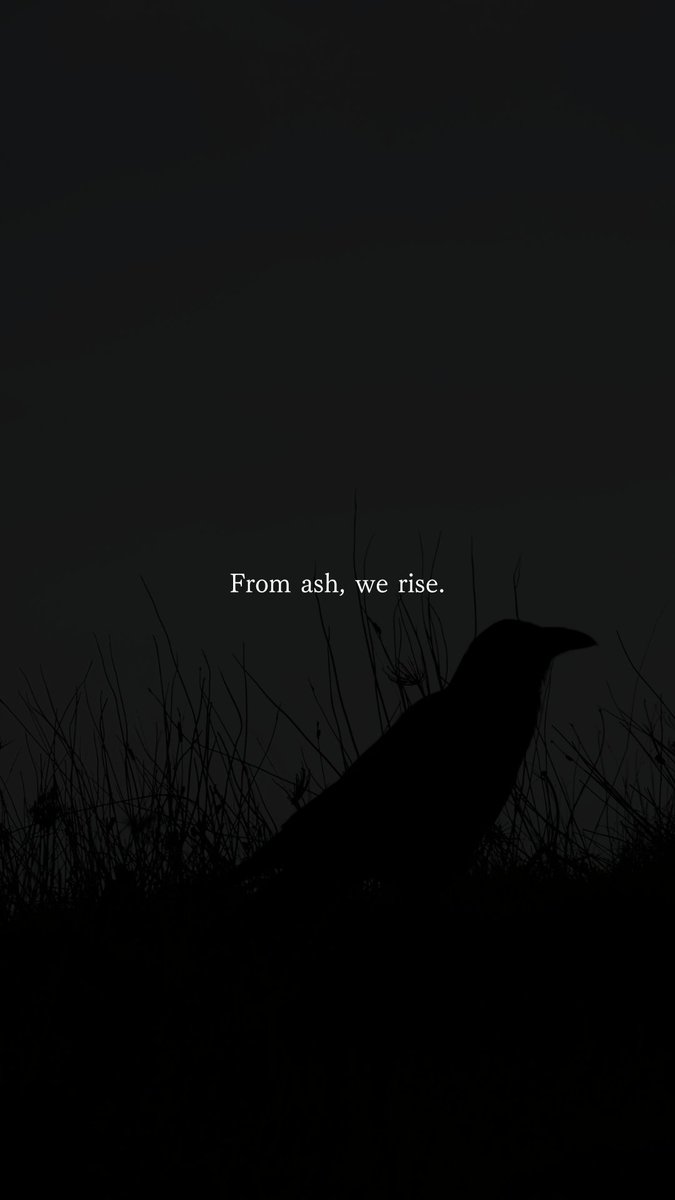 repagers tweet media