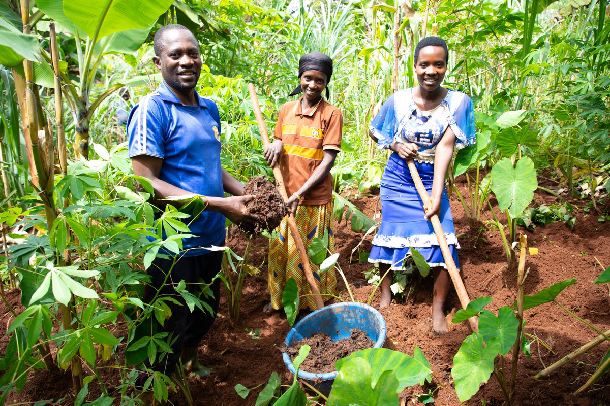 With support from <a href="/WVBurundi/">World Vision Burundi</a>, Gerard transformed his family’s life. From one bull received in 2013, he now owns two cows, sold four others, bought four plots of land, and educates all his 7 children. He also diversified with sheep and pigs. A true story of impact! 🌱🐄