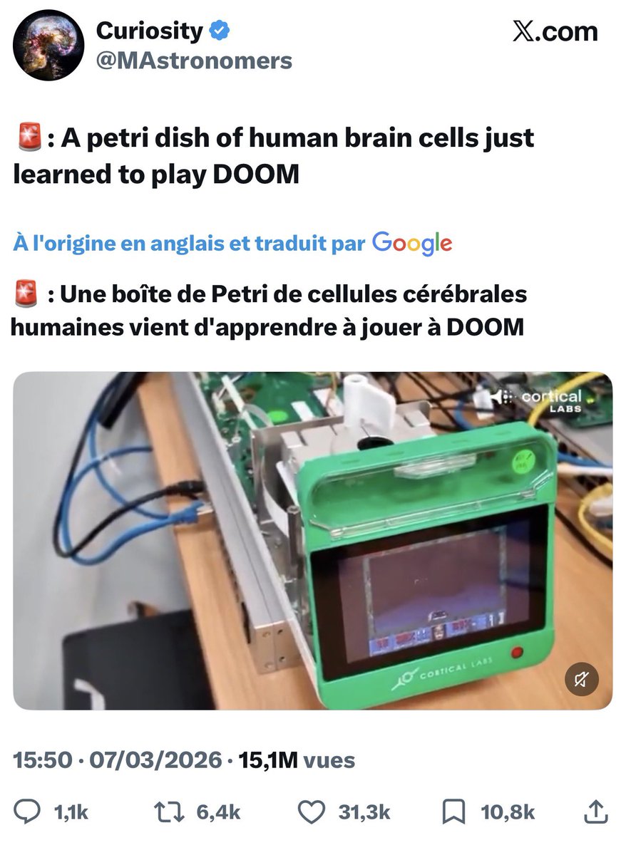 Rémi Kasprzyk tweet media