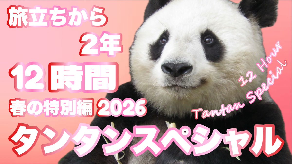 PANDA KENJI tweet media