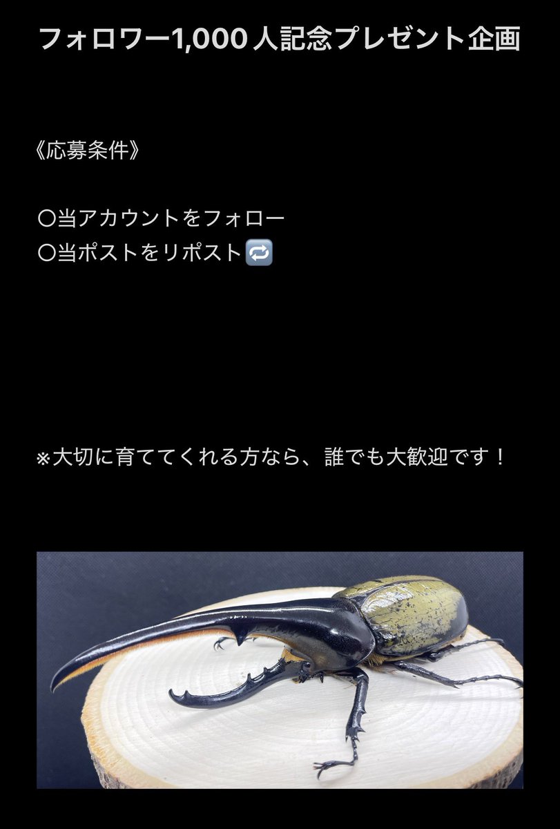 KaZuYa18 tweet media