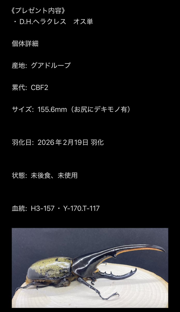 KaZuYa18 tweet media