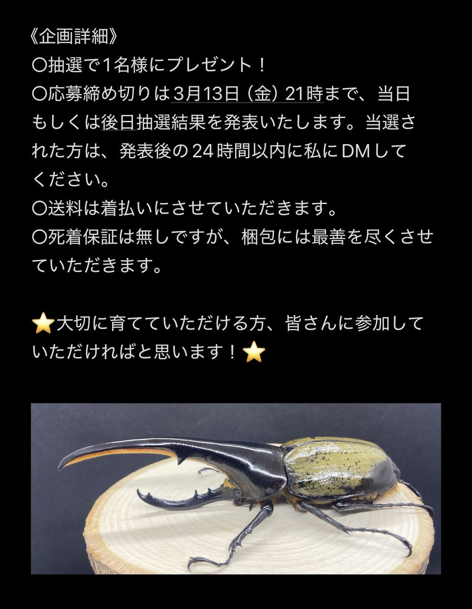 KaZuYa18 tweet media