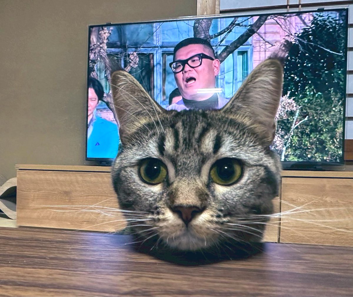 アイキッド（ザ・リーサルウェポンズ） tweet media