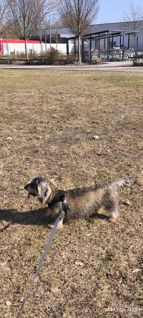 TIMMY 🐾❤️ & Mom👧🦔🐔🌷🌸🌿 tweet media