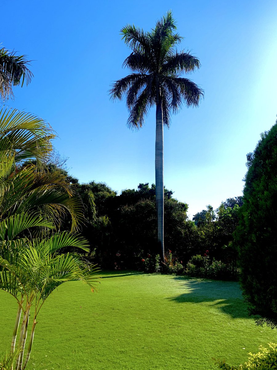 KJS DHILLON🇮🇳 tweet media