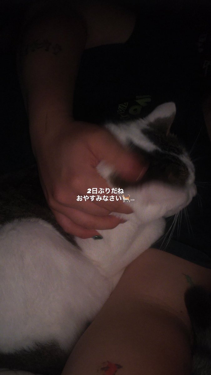 こーゐち🐶 tweet media