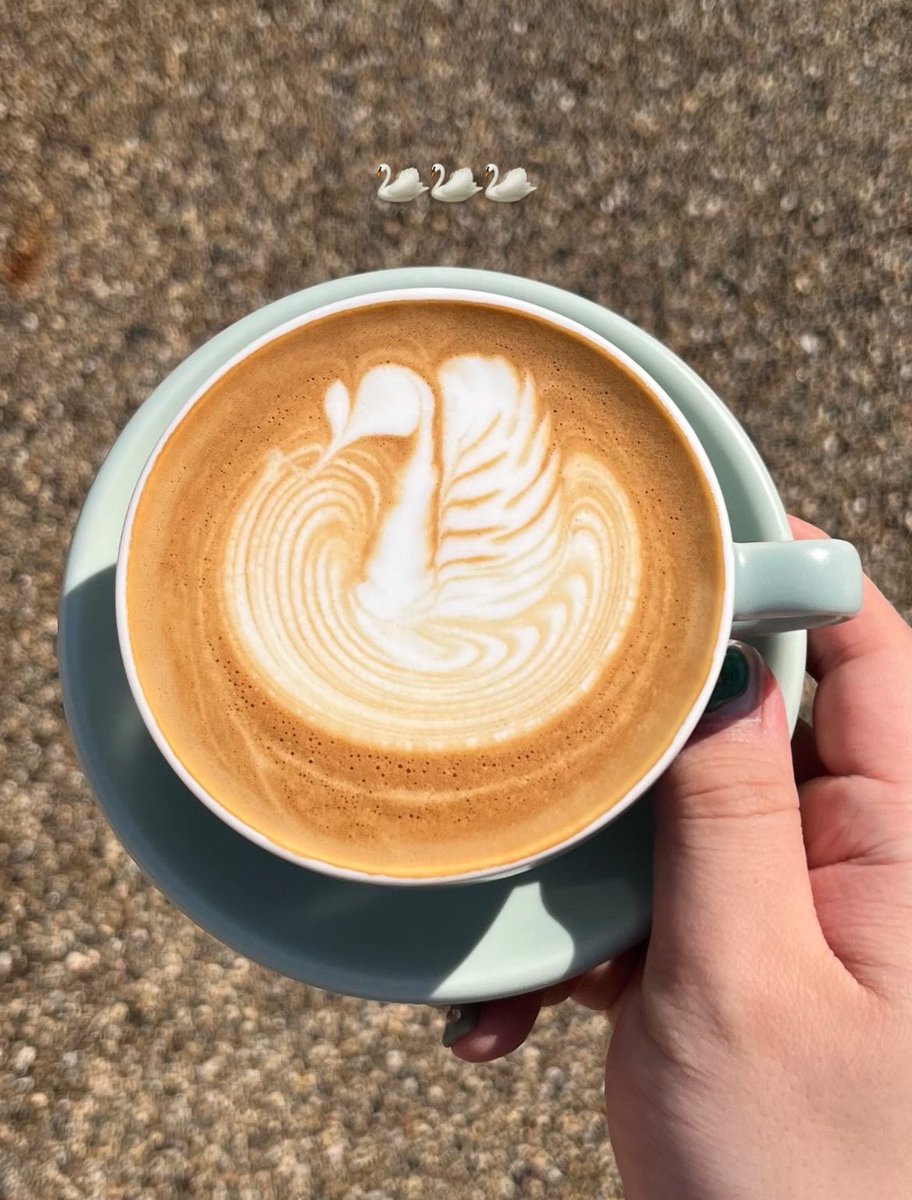 こーゐち🐶 tweet media