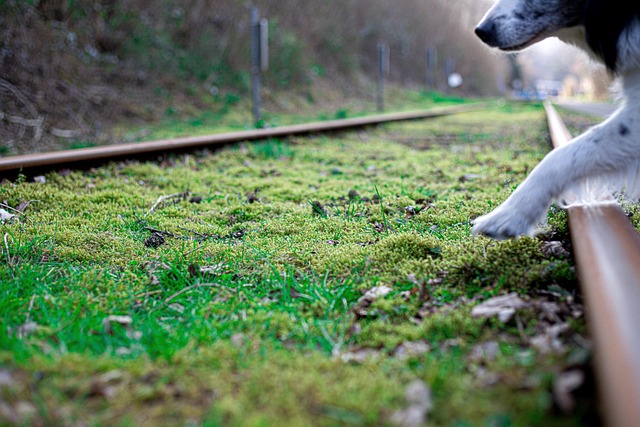 Mathias Evans tweet media