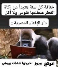 جوديث ~ (@evankhill) on Twitter photo 