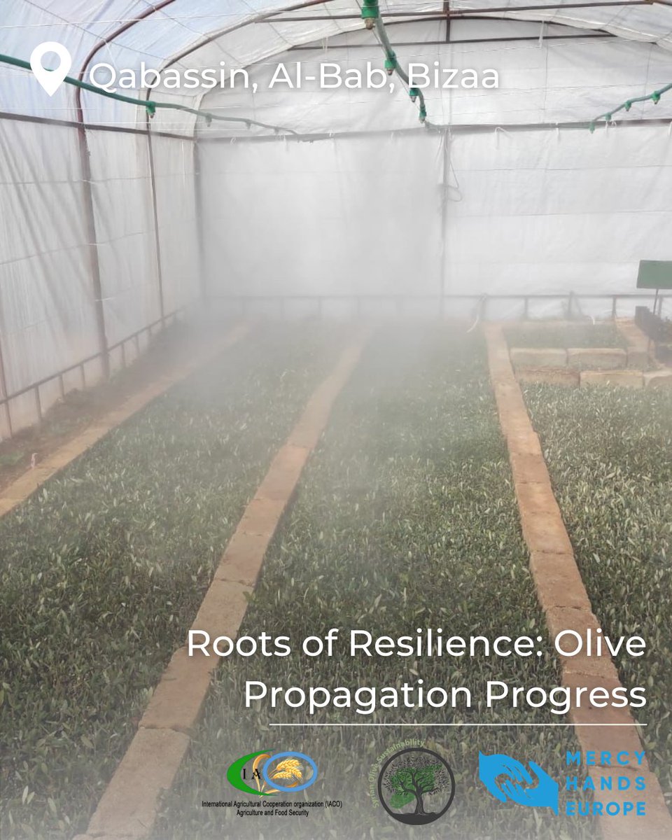 Mercy Hands Europe tweet media