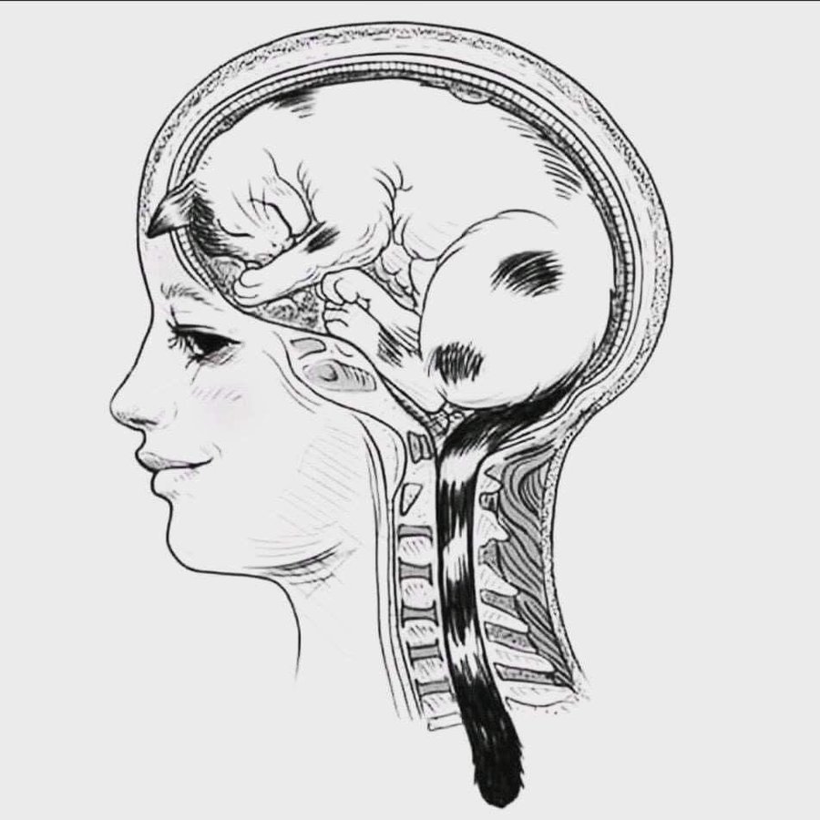 Lo que ocupa mi mente: