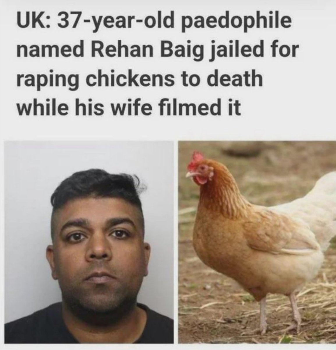 English 🏴 tweet media