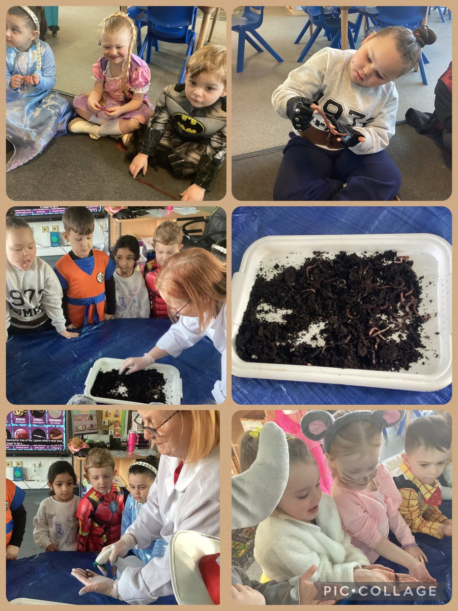 Springwell Reception tweet media