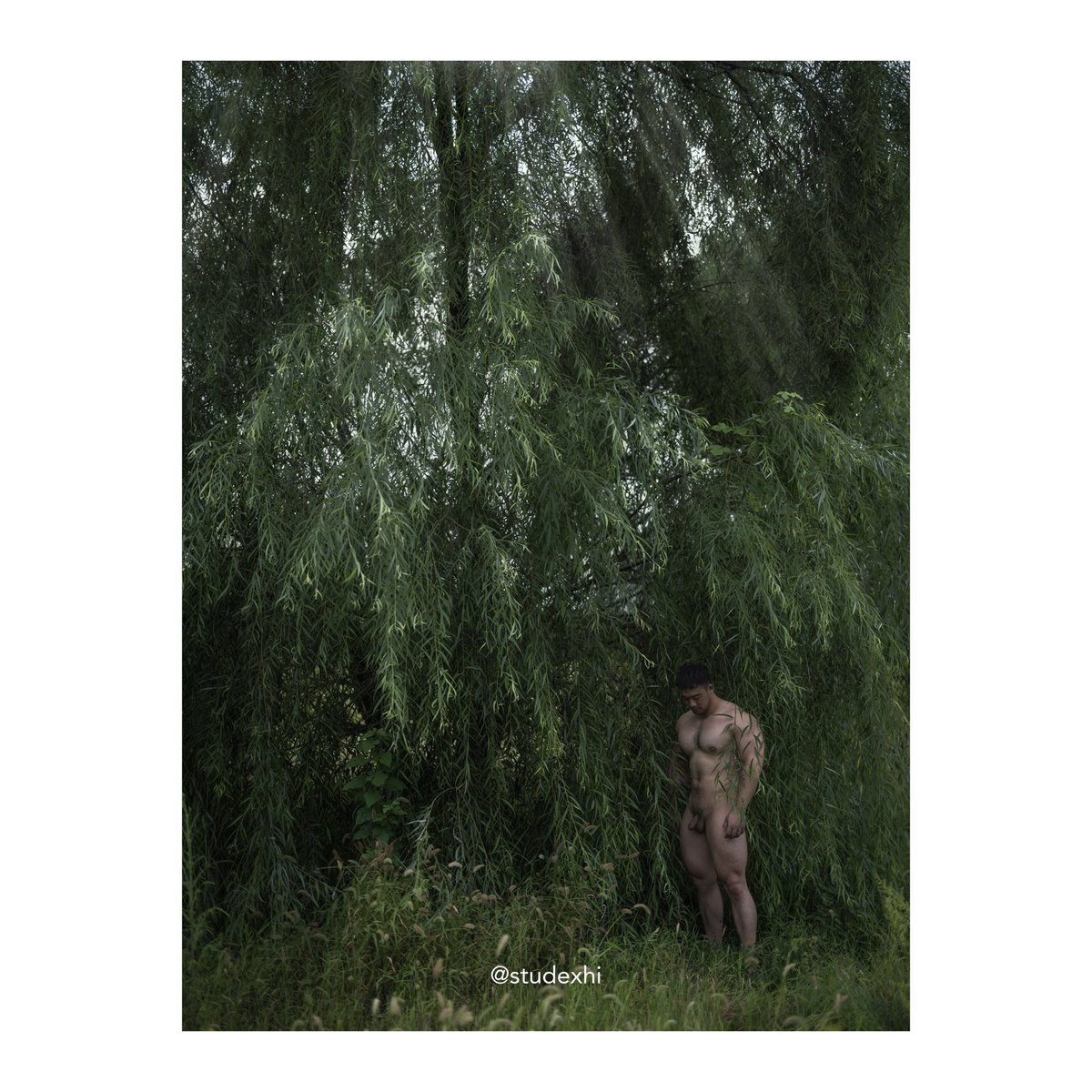 笨蛋小狗 tweet media