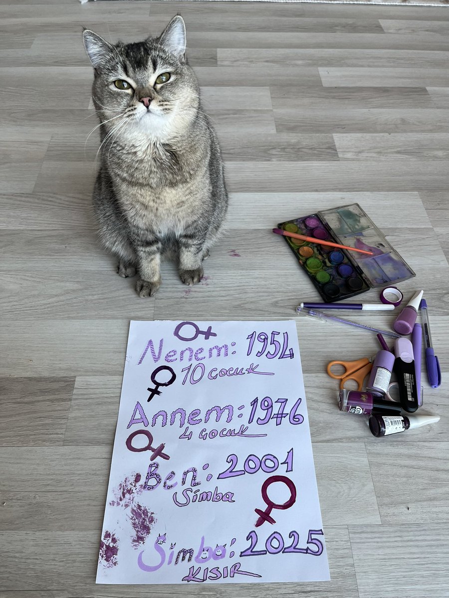 simbatopiksurat's tweet photo. Kadınlar gününüs kutlu olsunnnnnnnn https://t.co/qlrTcMdWjA