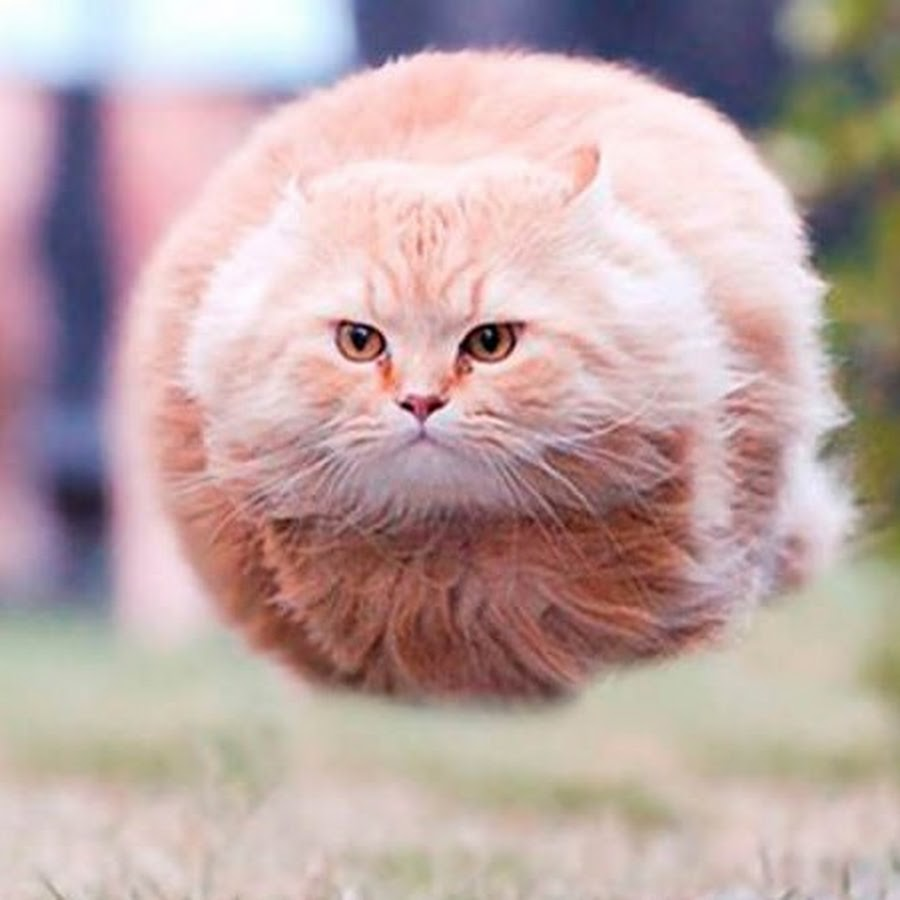 joker mechanic tweet media