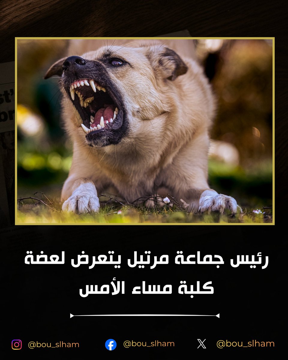 Bou_slham tweet media
