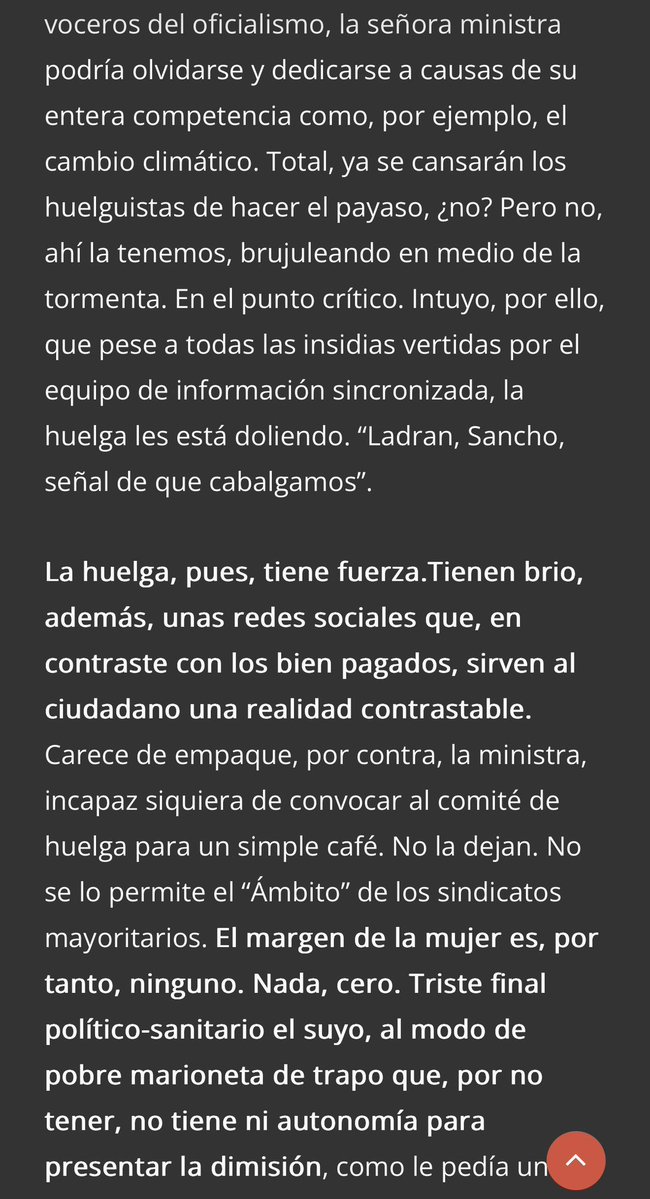 María José García Mateos tweet media