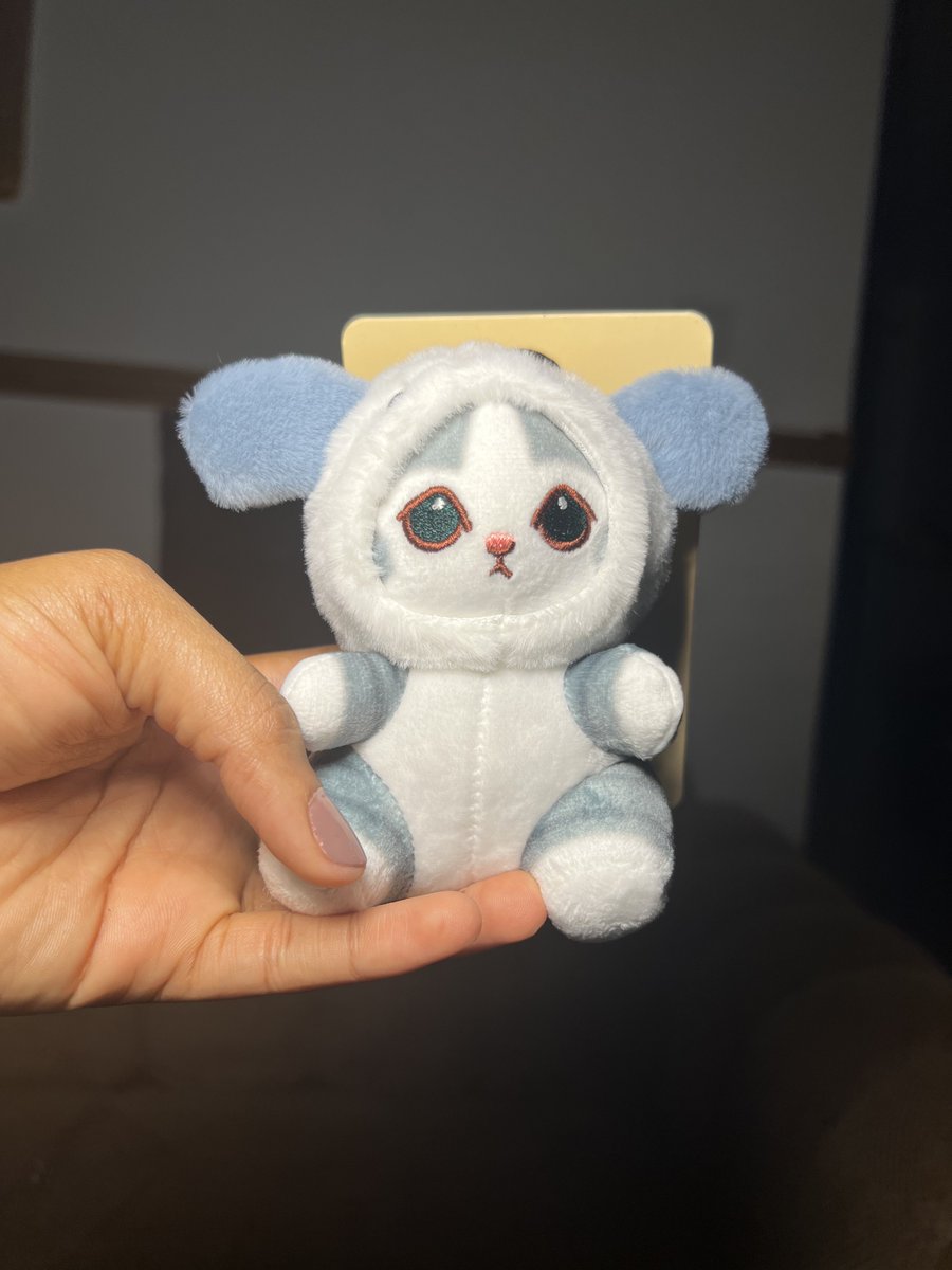 Ibi Fiberesima (Fibi) tweet media