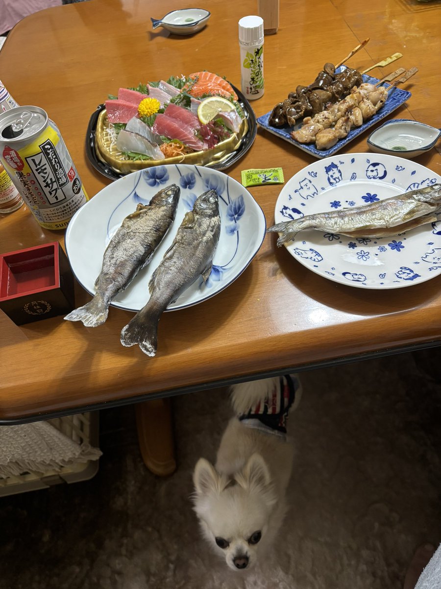 trout親父 tweet media