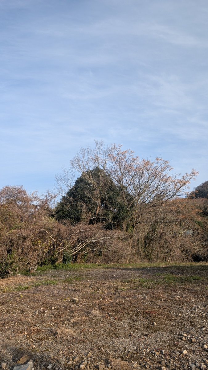 Dogsdailylifech's tweet photo. #空
#空模様
#空が好きな人と繋がりたい
#空の写真
#大崎上島
#GooglePixel9
【撮影機種】
日付︰令和8年3月8日【日曜日】天気は晴れ時々くもり🌤️🌤️今日は休日。 https://t.co/YcrV5LNXuM