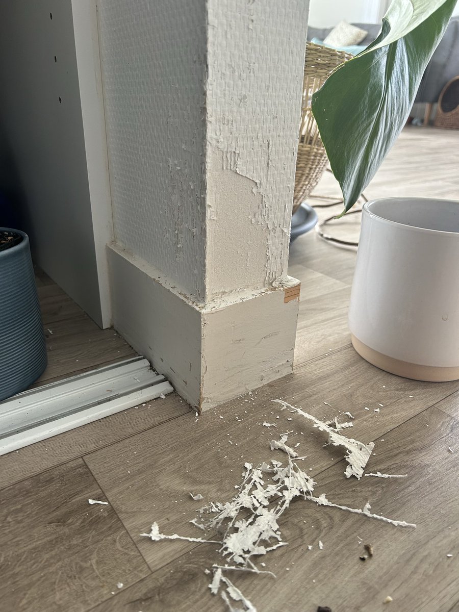 mdfollate's tweet photo. Help quelqu’un de manuel qui sait comment réparer ce que mon chat a fait ??? https://t.co/B8WG41f3YQ