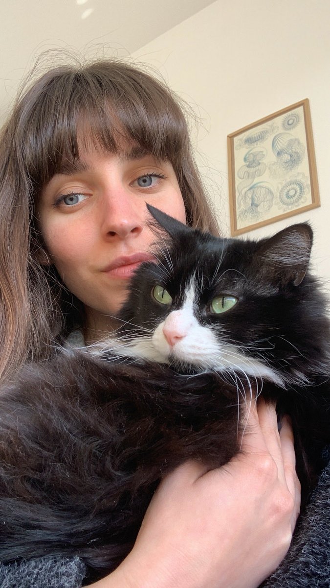 mdfollate's tweet photo. Help quelqu’un de manuel qui sait comment réparer ce que mon chat a fait ??? https://t.co/B8WG41f3YQ