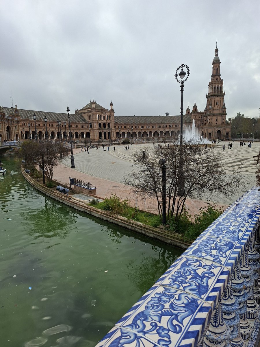 Alison Begas tweet media