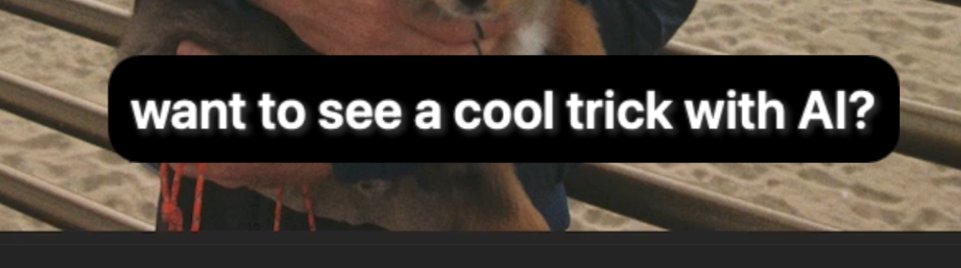 Liran Tal tweet media