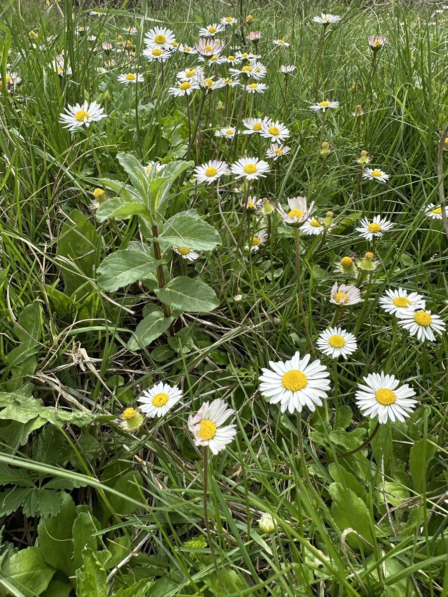 Abdurrahman Yargucı tweet media