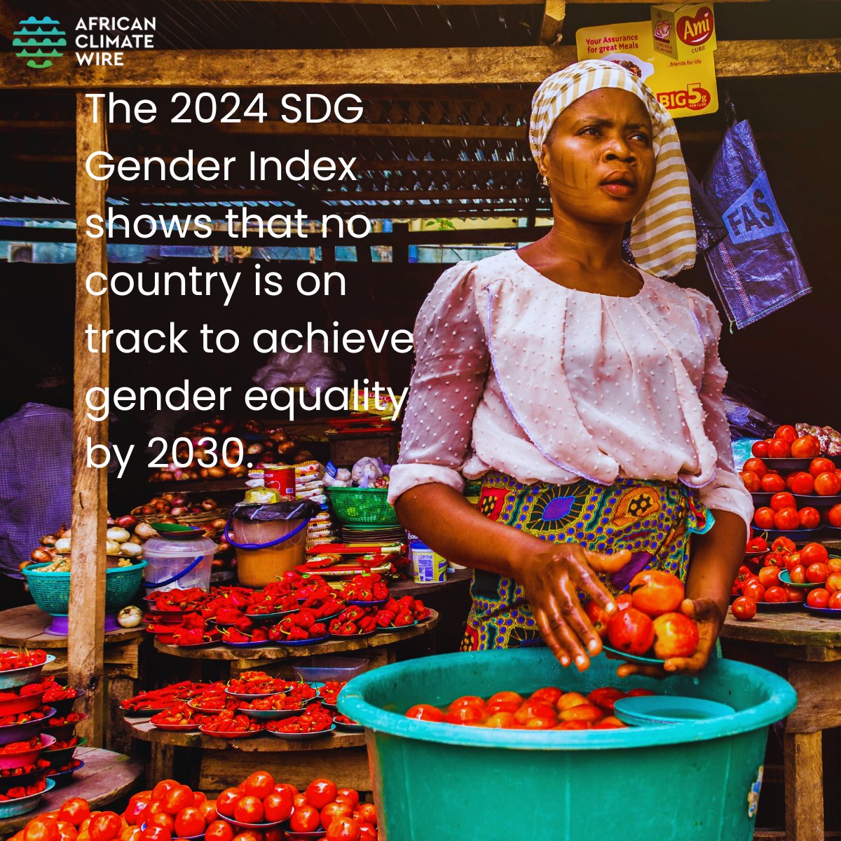 African Climate Wire tweet media