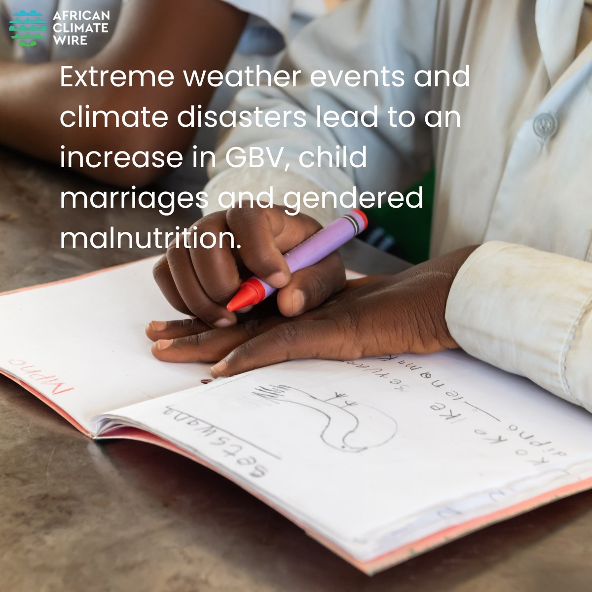 African Climate Wire tweet media